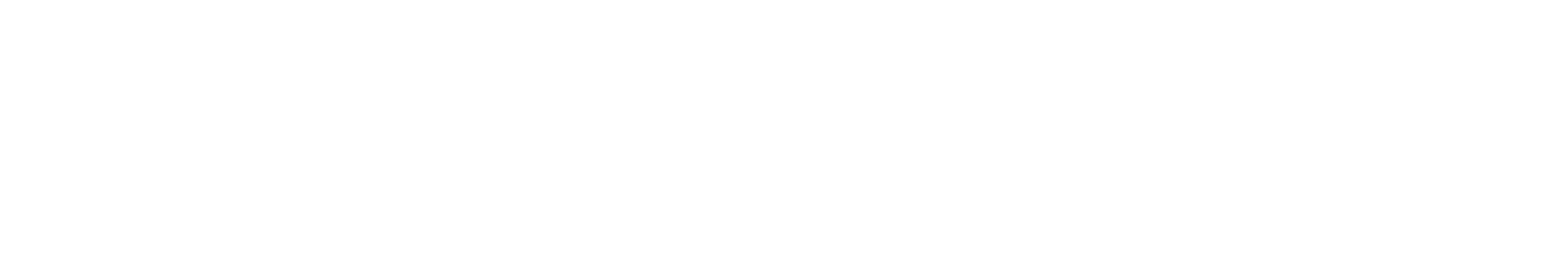 ofertasbravas.com.mx